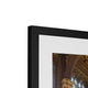 The Royal Gallery Framed &amp; Mounted Print image 7